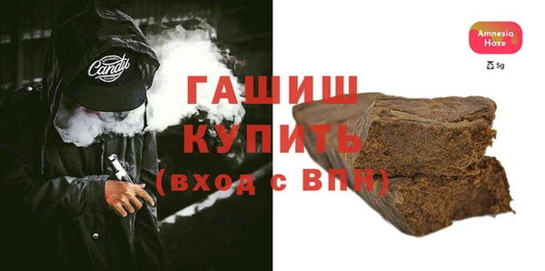 дживик Няндома