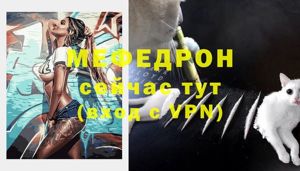 гашик Осташков