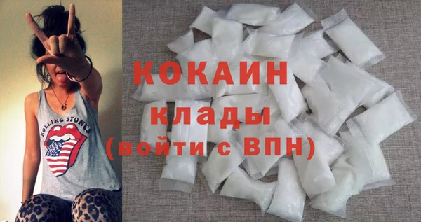 дживик Няндома