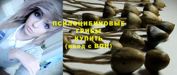 круглые Осинники