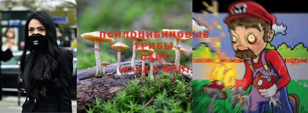гашик Осташков