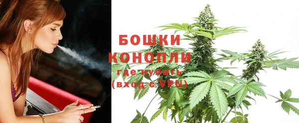 круглые Осинники