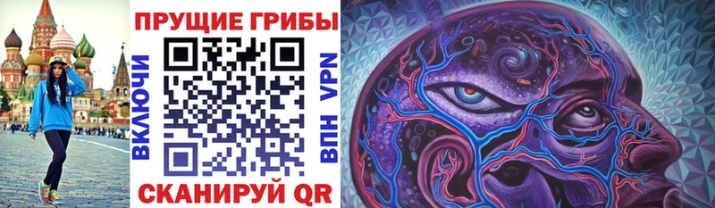 Галлюциногенные грибы Psilocybine cubensis  даркнет как зайти  Осташков 